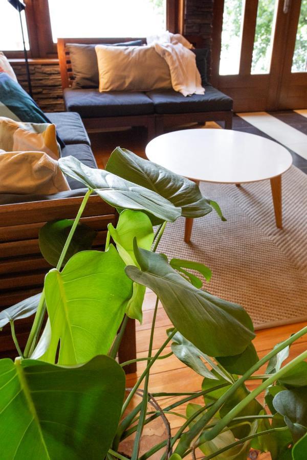 River House Vasa Belgrado Exterior foto